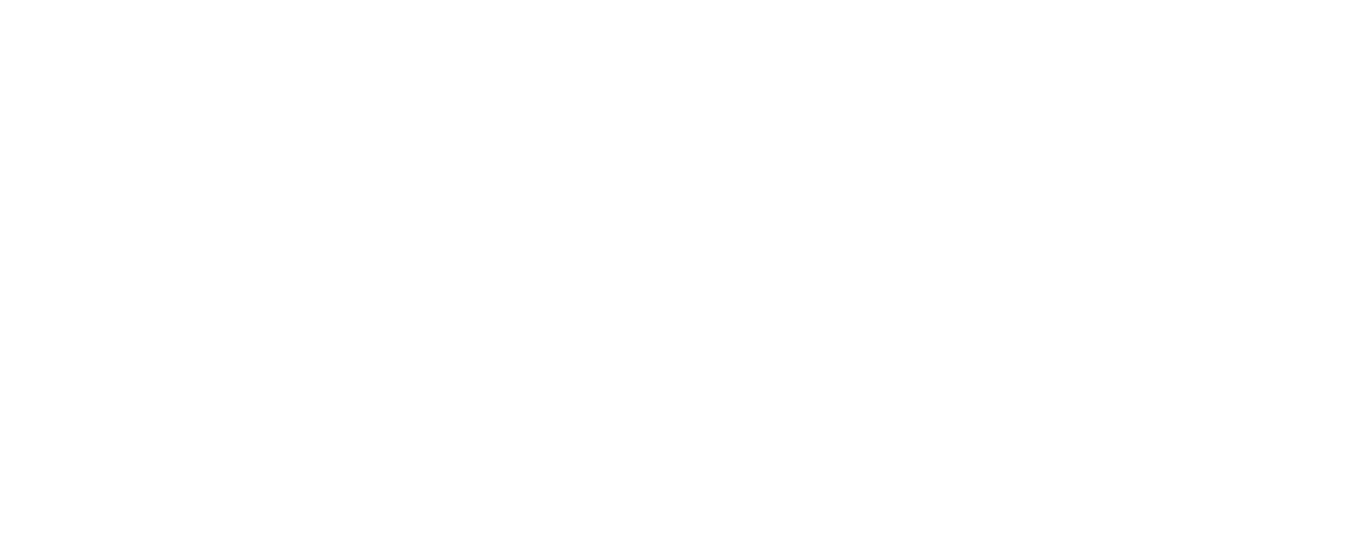 Logo Solidaris